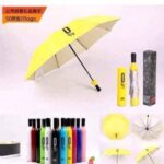 Bottle umbrella ( available in colors)
