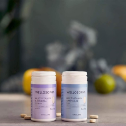 Wellosophy Multivitamin And Mineral