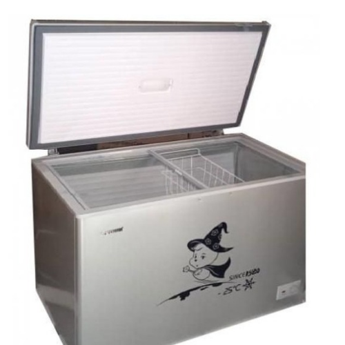 Snowsea Chest Freezer BD-370 250l