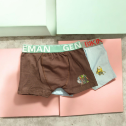 2 Pcs Super Heroe Children Boy's Underwear Boxers (SMALL)