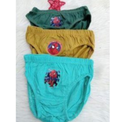 Girl Underwear Pant 3pcs