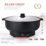 Silver Crest Electric Boiling pot - fast cooking